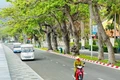 Về nơi lửa thử vàng...