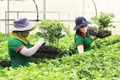 Tạo lập môi trường kinh doanh bình đẳng cho kinh tế tư nhân