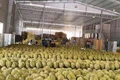 'Vua trái cây' rớt giá thảm: Đằng sau việc nhà nhà, người người trồng sầu riêng