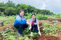 Lan tỏa tuổi trẻ sống đẹp trên mạng xã hội