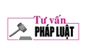 Luật sư Bùi Thanh Vũ tư vấn pháp luật