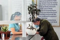 Thủ tướng Chính phủ chỉ đạo không để ngắt quãng, gián đoạn khi vận hành mô hình chính quyền hai cấp