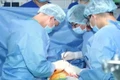 Ghép thành công cho 7 người từ tạng của 1 người chết não