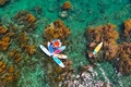 'Trốn' phố thị ồn ào, về Quy Nhơn ngắm rong mơ nhuộm vàng đáy biển