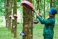 Giá cao su xuất khẩu tăng gần 31%