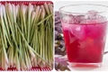 Uống nước tía tô với sả có tác dụng gì?