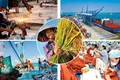 Ban hành Hệ thống ngành kinh tế Việt Nam