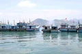 Phù Mỹ Đông tăng cường giám sát tàu cá vi phạm