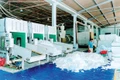 Doanh nhân trẻ tiên phong dấn bước