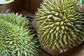 Cadimi 'hung thần' của sầu riêng sẽ bị cấm ở Việt Nam