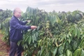 Đẩy mạnh phát triển nông nghiệp hữu cơ