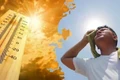 Có trên 100.000 người ở Nhật Bản phải nhập viện do say nắng