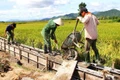 Đột phá vươn lên từ nội lực