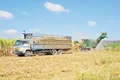 Công ty cổ phần Nông nghiệp AgriS Gia Lai: Hài hòa lợi ích giữa doanh nghiệp và người trồng mía