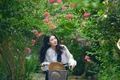 Ngắm những đường hoa tường vi đẹp như cổ tích giữa lòng Hà Nội