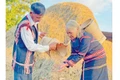 Góp gạo: Nét đẹp văn hóa cộng đồng của người Jrai