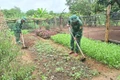Đồn Biên phòng Ia Nan: Đồng hành cùng dân giảm nghèo, xây dựng nông thôn mới