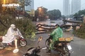 Cuối tháng 9, Biển Đông có thể đón 1-2 cơn bão mạnh