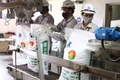 Kim ngạch xuất khẩu phân bón tăng 26,6%