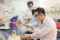 Hút chất xám vào khu vực công