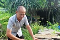 Người giúp đá ngân nga