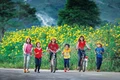 Theo dấu những mùa hoa