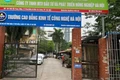 Bộ GD-ĐT lên tiếng việc hơn 100 sinh viên bị dừng học không lý do