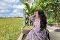 Quán cà phê giữa đồng lúa ở Cần Thơ khiến giới trẻ 'phát cuồng'