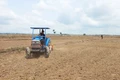 Linh hoạt sản xuất vụ mùa thích ứng với diễn biến thời tiết