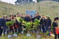Lời thề giữa đại ngàn của đồng bào Mông - Yên Bái
