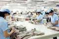 Hướng đến mục tiêu kép