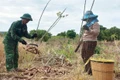 Đảng viên Biên phòng tham gia sinh hoạt chi bộ thôn và phụ trách hộ gia đình: Hiệu quả thiết thực