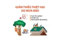 Một số biện pháp để giảm thiểu thiệt hại do gió bão và mưa lớn gây ra