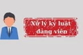 Bộ Chính trị, Ban Bí thư xem xét, thi hành kỷ luật đảng viên vi phạm