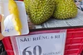 Sầu riêng loạn giá, xuất khẩu giảm sâu