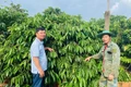 Điểm sáng trong phong trào học tập và làm theo gương Bác