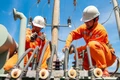Thủ tướng: Đảm bảo cung ứng đủ điện phục vụ sản xuất, kinh doanh và đời sống của Nhân dân
