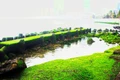 Sóng biển vỗ về rêu xanh