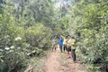 Giao khoán rừng cho dân: Gắn trách nhiệm, giữ màu xanh