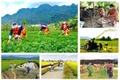 Lập Ban Chỉ đạo Trung ương các chương trình mục tiêu quốc gia giai đoạn 2021-2025