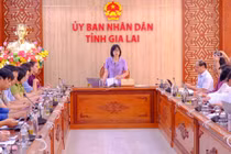 Phó Chủ tịch UBND tỉnh Nguyễn Thị Thanh Lịch (đứng) chủ trì cuộc họp. Ảnh: Đoan Ngọc