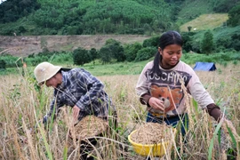 Hội Liên hiệp phụ nữ huyện Kông Chro phát động đợt thi đua đặc biệt chào mừng các ngày lễ lớn