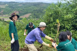 Nông nghiệp sạch - lá chắn sinh thái trước khủng hoảng khí hậu