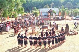 Phục dựng “Lễ mừng chiến thắng” của người Jrai tại làng Bẹk vào ngày 31-3