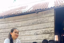 Nẻo về nguồn cội của Yến