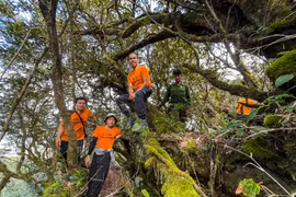 Rừng cây phủ rêu trên đường lên đỉnh Kon Ka Kinh níu chân du khách. Ảnh: Hoàng Ngọc