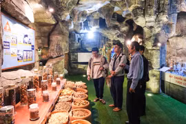 Bên trong hang núi là nơi trưng bày, giới thiệu hàng trăm loại dược liệu quý. Ảnh: HOÀNG NGỌC