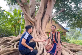 Gia Lai bàn công tác tổ chức “Gặp mặt, biểu dương người làm báo tiêu biểu” và trao Giải Báo chí tỉnh Gia Lai năm 2025