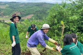 Nông nghiệp sạch - lá chắn sinh thái trước khủng hoảng khí hậu