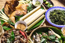 Mỹ vị từ rừng ở Tơ Tung